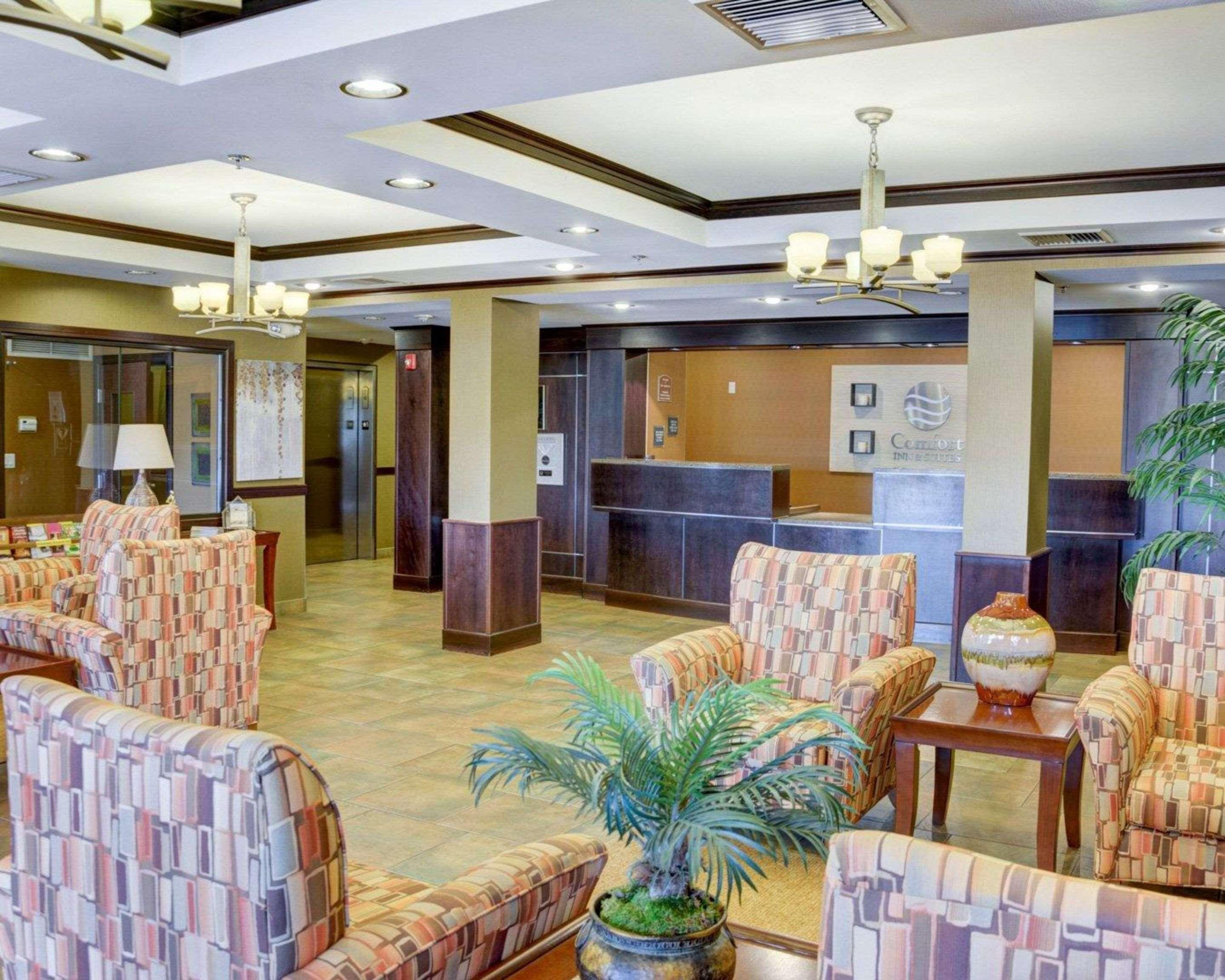 Comfort Inn & Suites Russellville I-40 Exteriör bild
