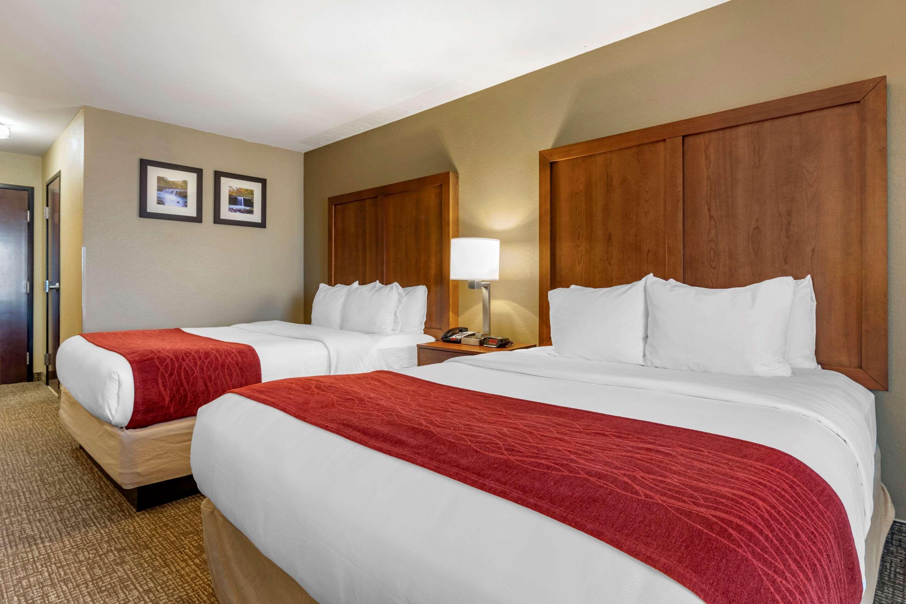 Comfort Inn & Suites Russellville I-40 Exteriör bild
